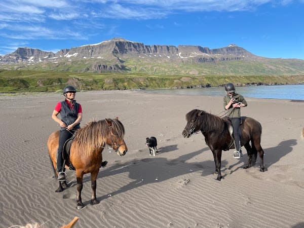 Geirastaðir Horseback Riding Tours