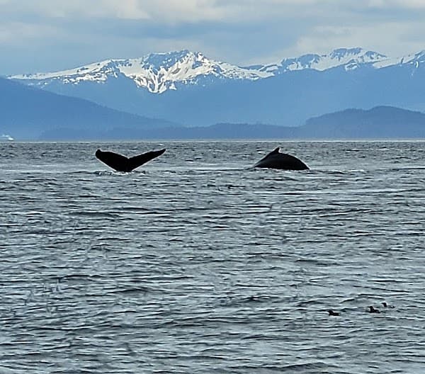 juneau-alaska — local attraction photo