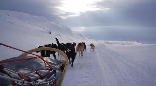 Lyngen Outdoor Experiences