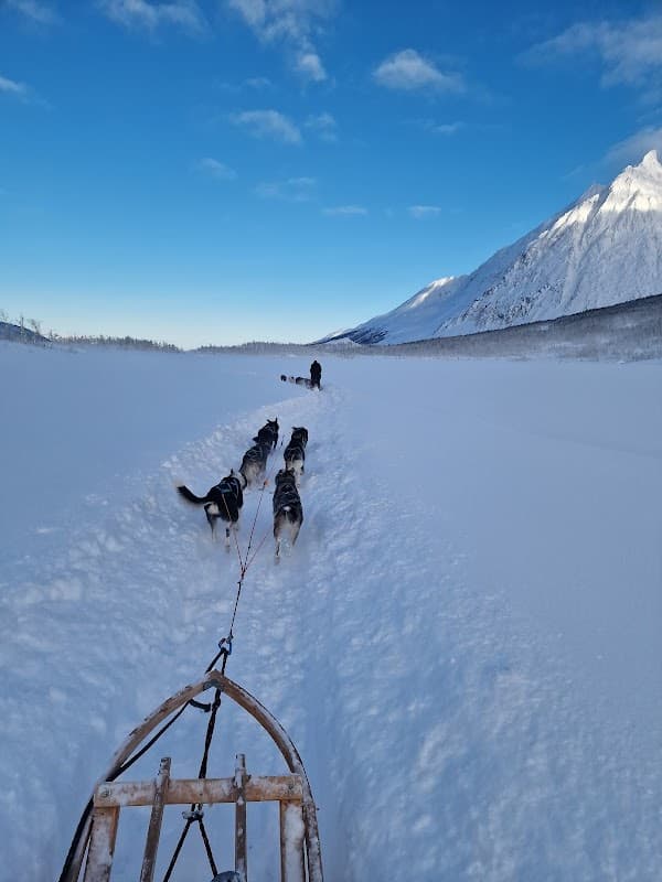 Lyngen Husky Safari