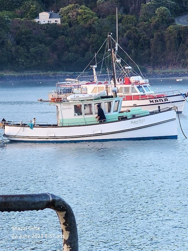 Stewart Island Conservation Expeditions