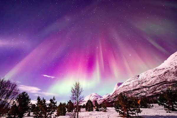 Arctic Circle Tours Tromsø