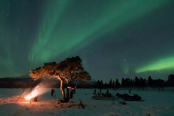 Activities in Abisko