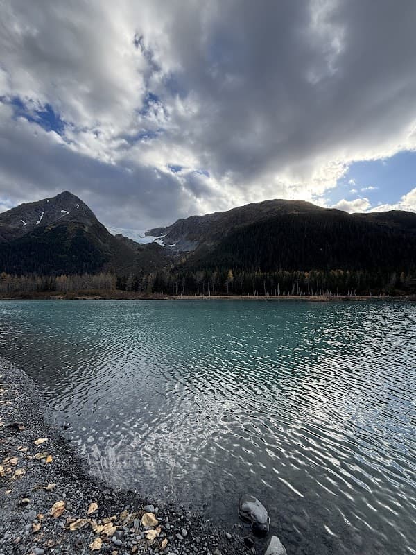 Alaskas Finest Tours & Adventures