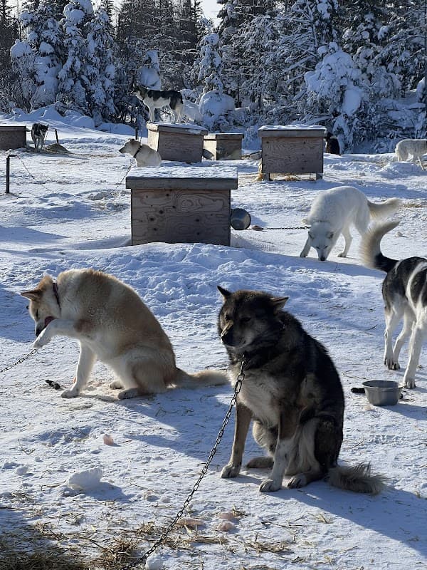 Wapusk Adventures & Wapusk General Store