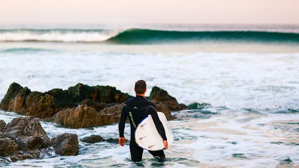 falkland-islands — local attraction photo