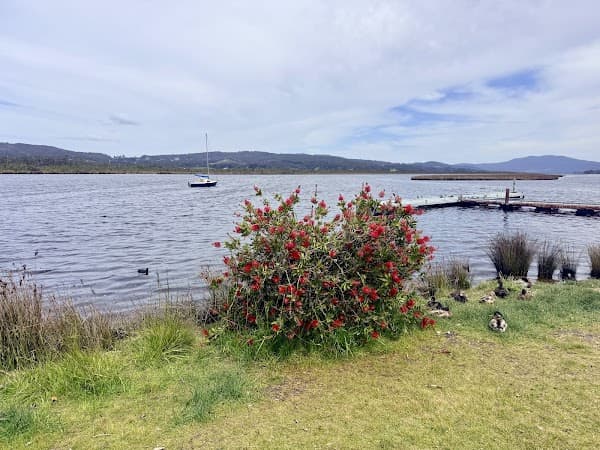 Riddle Me Adventures - Mystery Picnics Hobart