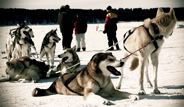 White Trail Adventures