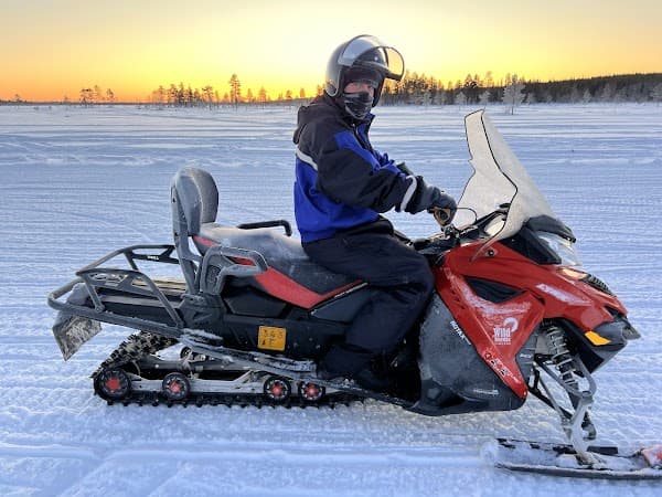 Wild Nordic Levi - Safari Centre