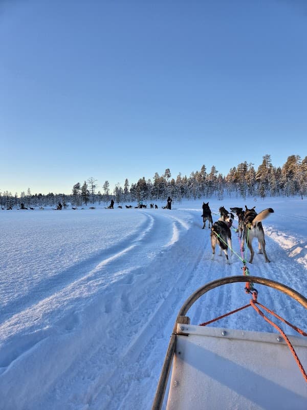 Arctic Timetravels DMC