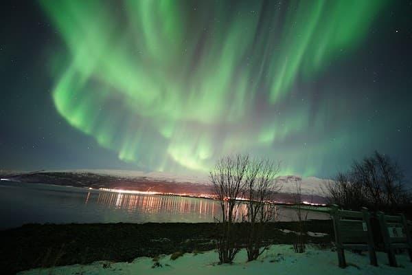 Spiritinthesky.Northern Lights & Fjord tours.