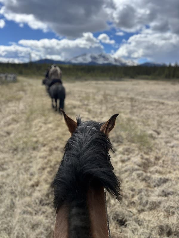 Yukon Horse Packing Adventures