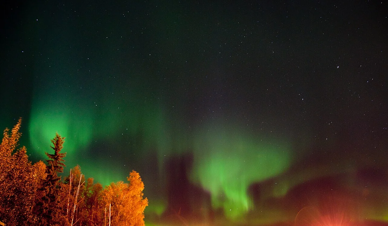 An aurora above trees in Fairbanks, Alaska