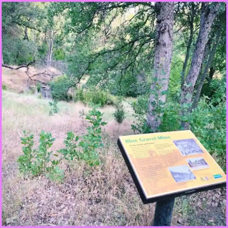 Things To Do in Redding California - Blue Gravel Mine Trail