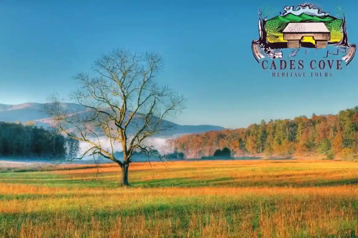 Best Things To Do in Townsend Tennessee - Cades Cove Heritage Tours