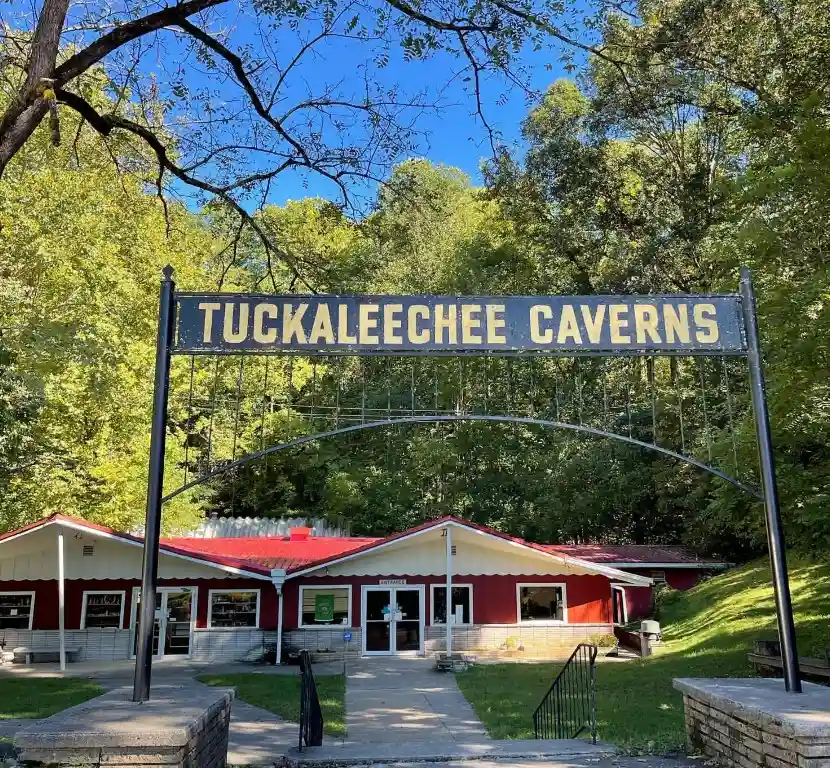 Things To Do in Townsend TN - Tuckaleechee Caverns