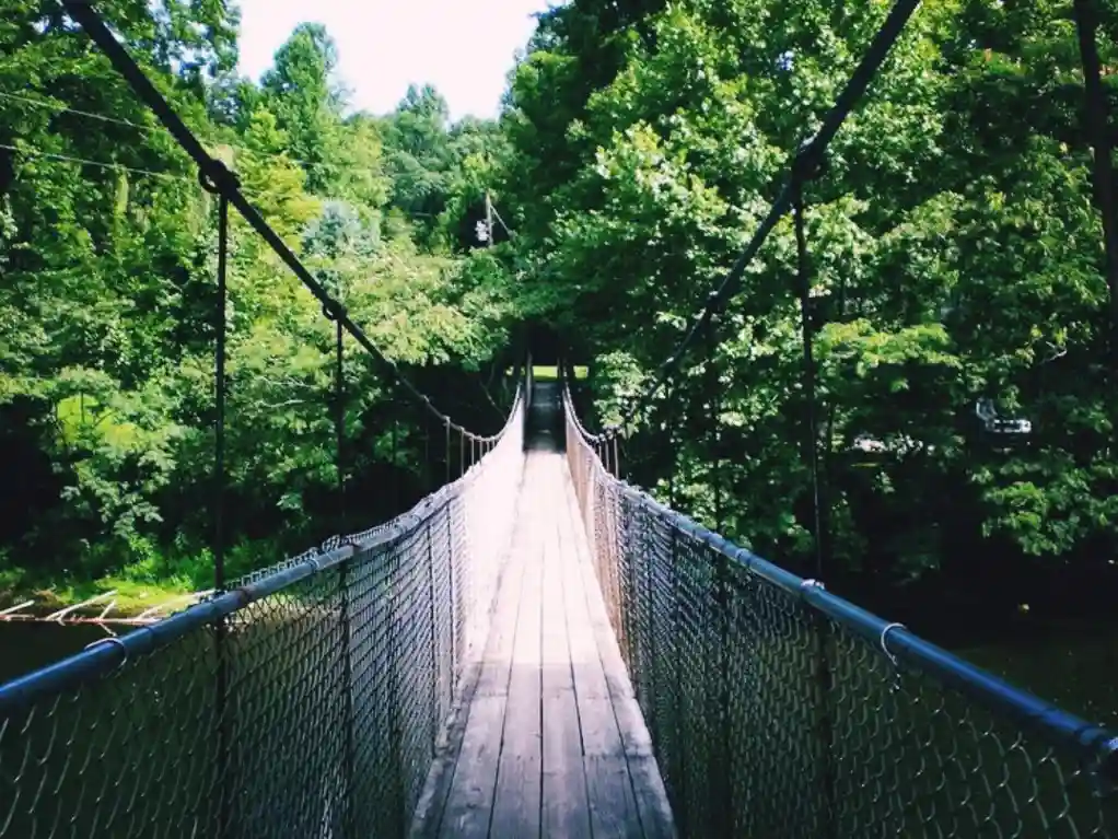 Things To Do in Townsend Tennessee - DARK Island swinging bridge