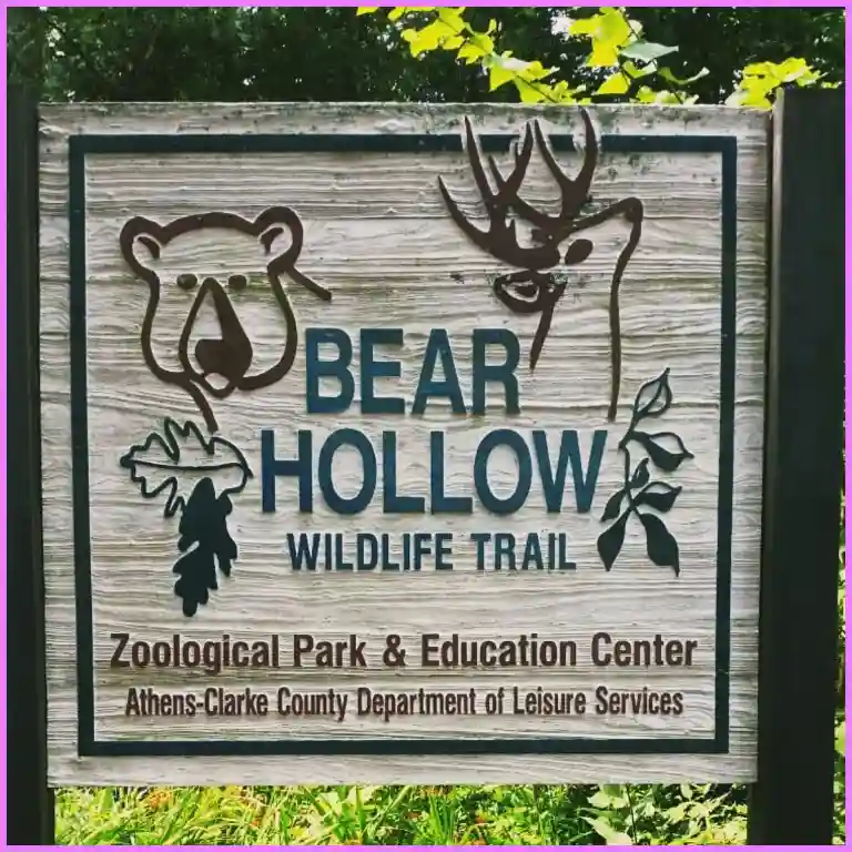 Things To Do in Athens GA - Bear Hollow Wildlife Trail