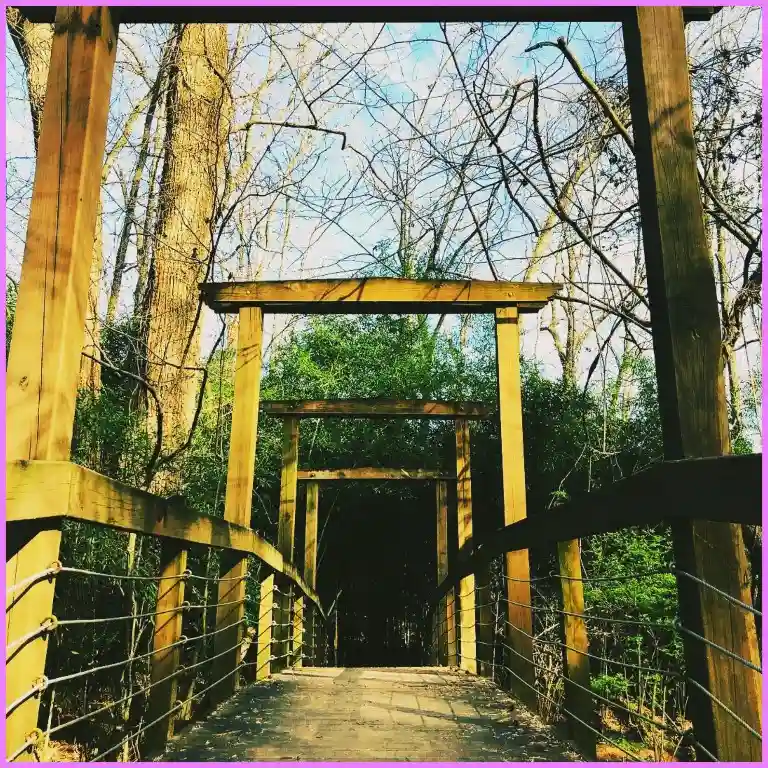 Things To Do in Athens GA - Memorial Park
