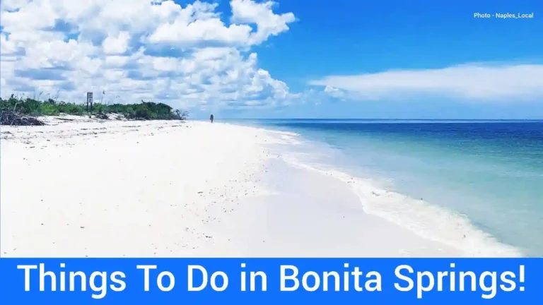 45 Best Things To Do In Bonita Springs FL