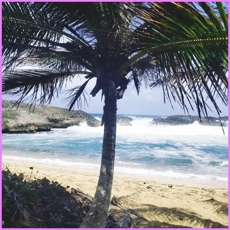 Best Beaches in Puerto Rico - Kikita Surf Beach