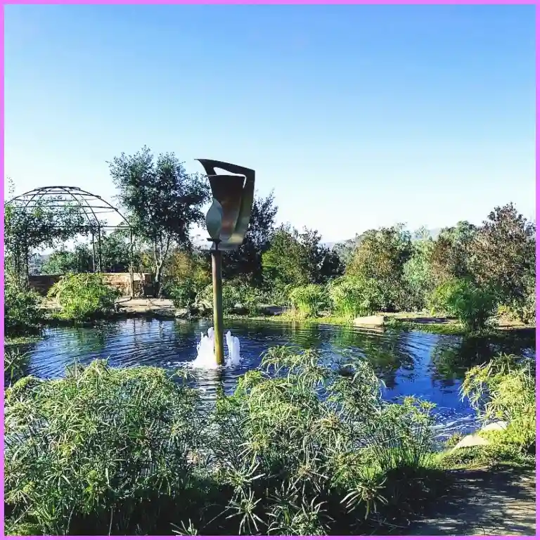 Best Things To Do in Carlsbad - Alta Vista Botanical Gardens
