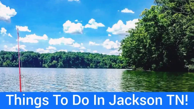 55 Best Things To Do In Jackson TN