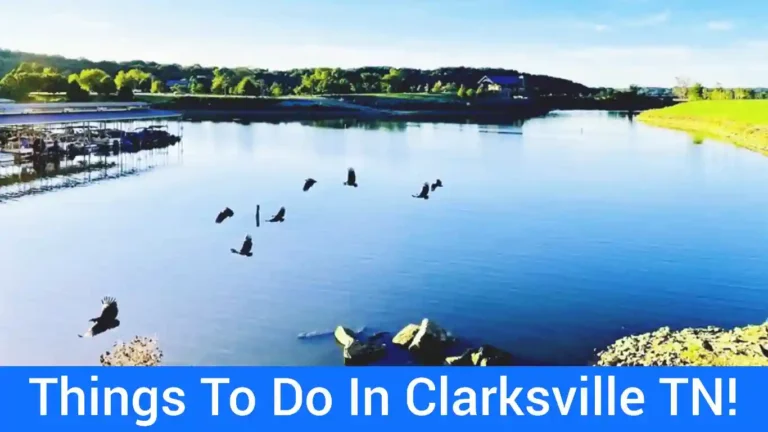 55 Best Things To Do In Clarksville TN