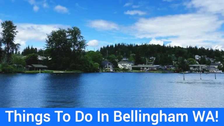 37 Best Things To Do In Bellingham WA